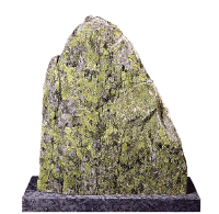 Bilde av en stein